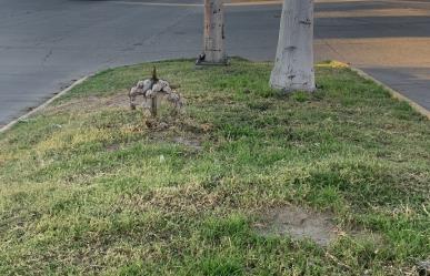 Cruces sobre la calle y su significado