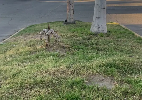 Cruces sobre la calle y su significado