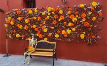 ¿Celebrando la vida y la muerte? Inauguran Festival Ánimas del Desierto 2024