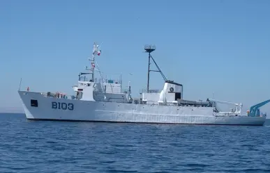 Tortuga amarilla en el Golfo de Ulloa: ¿Qué se está haciendo para conservarla?