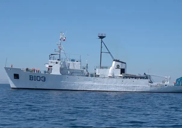 Tortuga amarilla en el Golfo de Ulloa: ¿Qué se está haciendo para conservarla?