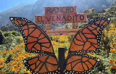 Día de Muertos: conoce el mejor jardín de Cempasúchil para tomarse fotos