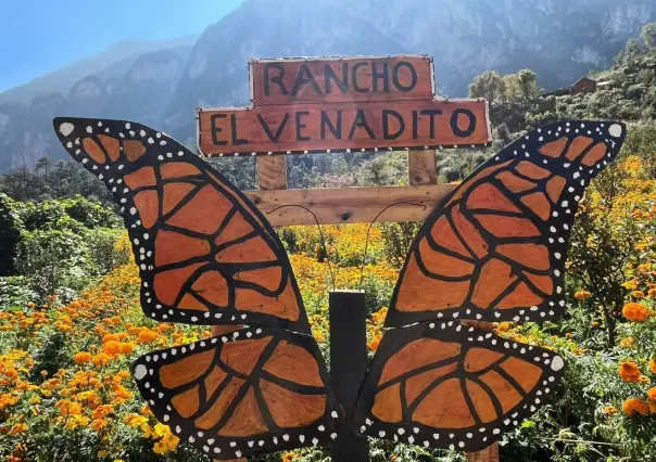 Día de Muertos: conoce el mejor jardín de Cempasúchil para tomarse fotos