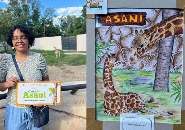 Asani, nombre ganador para el bebé jirafa del Zoológico Tamatán