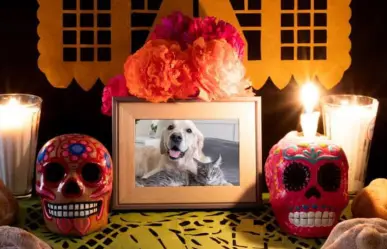 ¿Un altar para tu mascota? Estos son los elementos que no pueden faltar