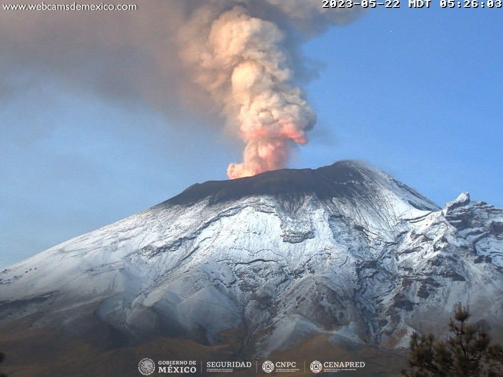 ¡Don Goyo, despierto! Popocatépetl lanza 16 exhalaciones en menos de 1 día