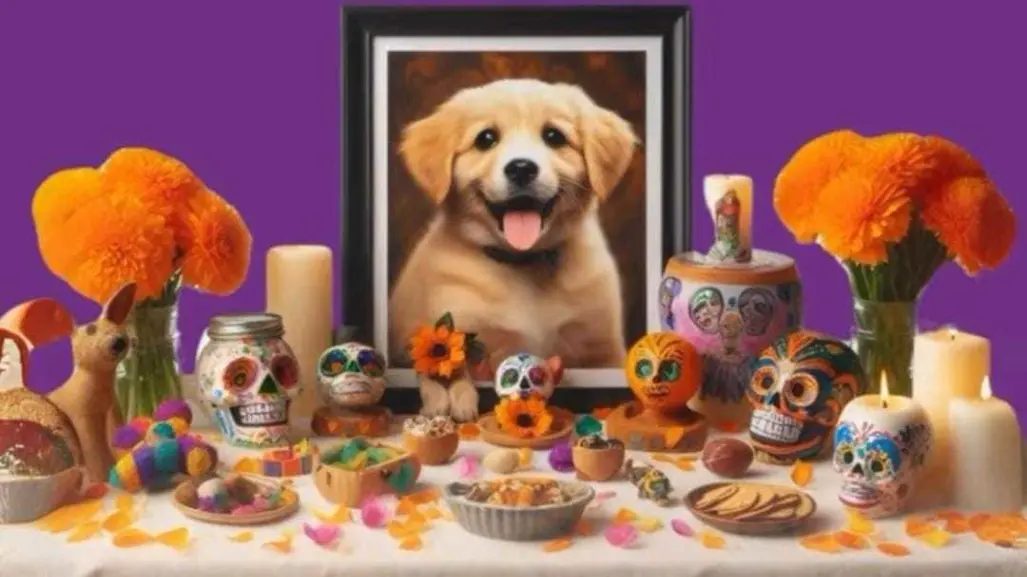 ¡Vuelven nuestros animalitos!: Cómo hacerles un altar en el Día de Muertos