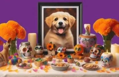 ¡Vuelven nuestros animalitos!: Cómo hacerles un altar en el Día de Muertos