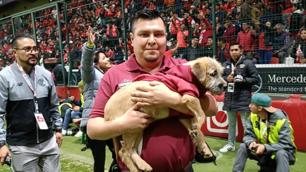 ¡Un partido muy perro! Toluca promueve adoptar mascotas en juego de Liga MX