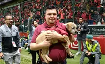 ¡Un partido muy perro! Toluca promueve adoptar mascotas en juego de Liga MX ¡Un partido muy perro! Toluca promueve adoptar mascotas en juego de Liga MX