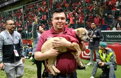 ¡Un partido muy perro! Toluca promueve adoptar mascotas en juego de Liga MX