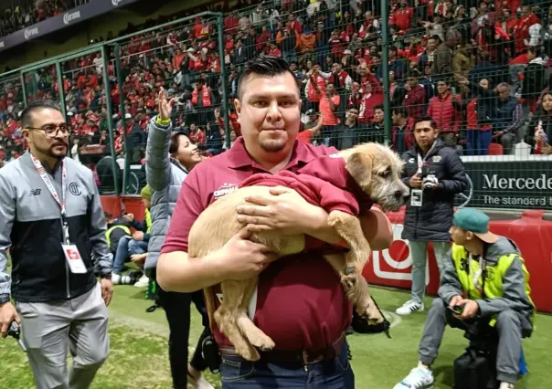 ¡Un partido muy perro! Toluca promueve adoptar mascotas en juego de Liga MX