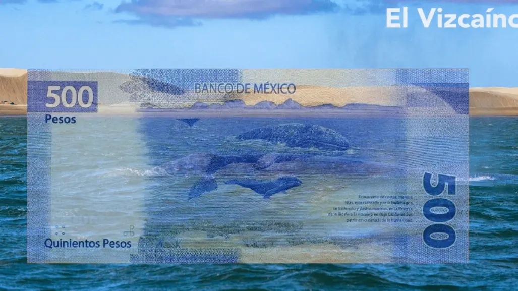 ¿Cuántas veces ha aparecido Baja California Sur en un billete?