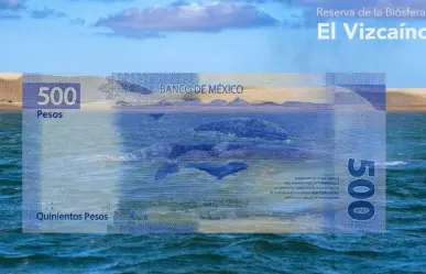 ¿Cuántas veces ha aparecido Baja California Sur en un billete?