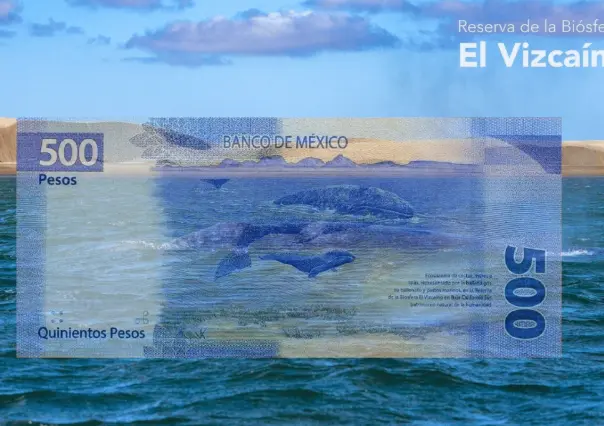 ¿Cuántas veces ha aparecido Baja California Sur en un billete?