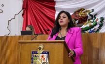 Itzel Castillo propone aumentar sanciones por maltrato animal