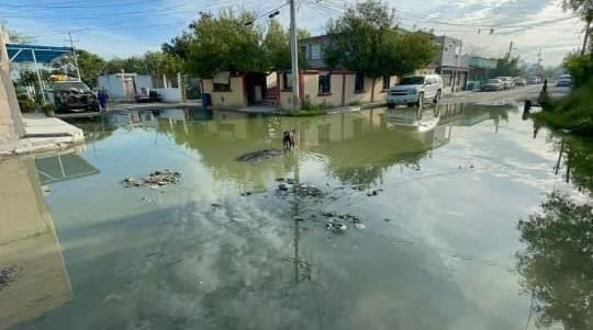 Desde hace varios meses, una fuga de aguas residuales afecta varias cuadras de la calle Niños Héroes, sin que la dependencia municipal haya brindado una solución efectiva. Foto: Redes sociales