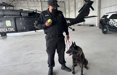 Nuevos cachorros de Fuerza Civil, esto es lo que son capaces de olfatear