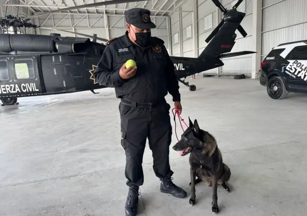 Nuevos cachorros de Fuerza Civil, esto es lo que son capaces de olfatear