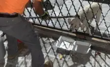 Guadalupe: perrito atorado en barandal es rescatado por Protección Civil (VIDEO)