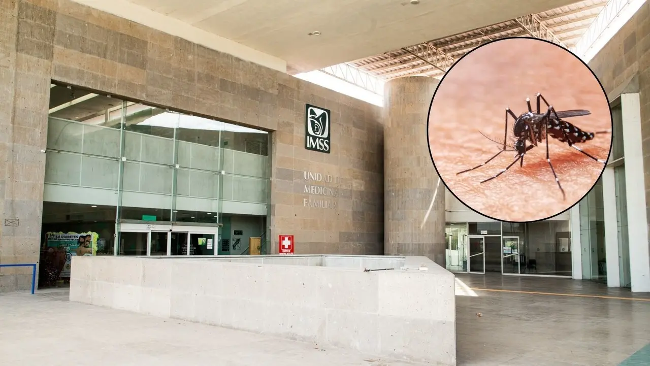 Es importante conocer tu Unidad Médica Familiar del IMSS. (Fotografía: IMSS)