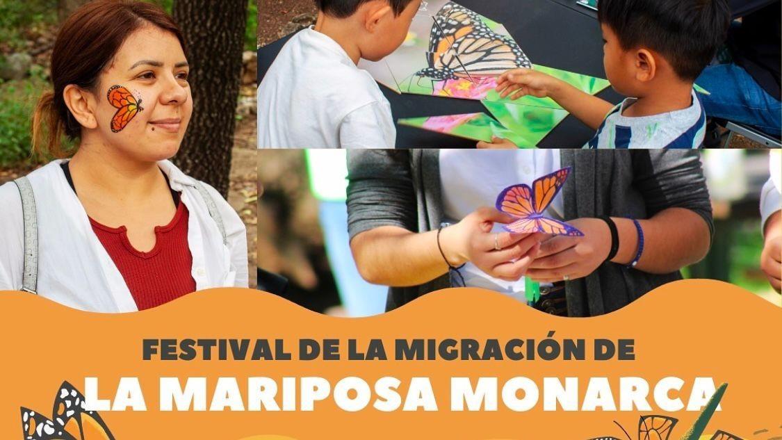 Festival de la Migración de la Mariposa Monarca este 10 de noviembre en Parque Ecológico Chipinque. Foto: @parquechipinque en Instagram.