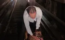 Rescate conmovedor: perrito atrapado en vías del Metro de CDMX