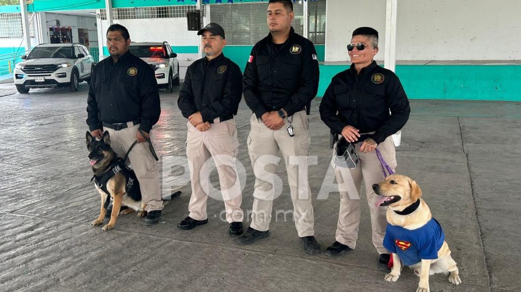 Exhiben habilidades de binomios caninos de Fiscalía de Justicia del Estado en primaria de Monterrey