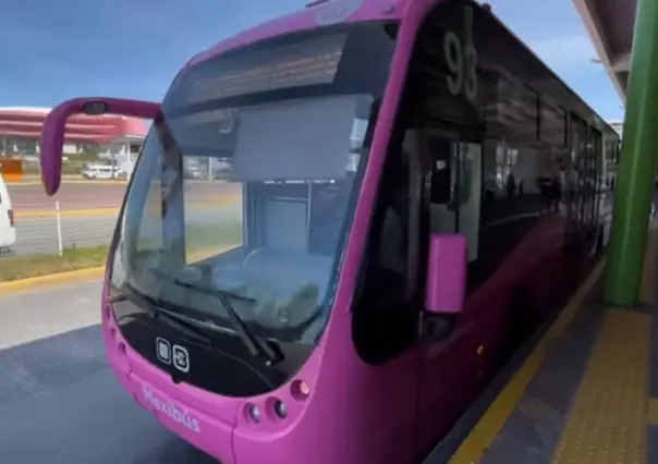 Transporte Rosa en Edomex: 3 datos que debes conocer