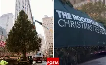 El icónico árbol de Navidad del Rockefeller Center ilumina Nueva York y atrae a miles