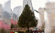 El Rockefeller Center recibe su icónico árbol navideño en Nueva York