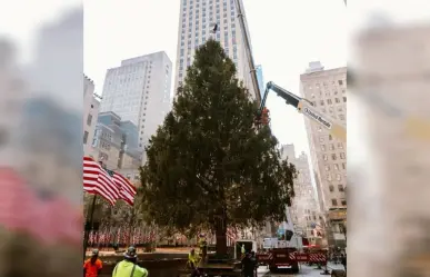 El Rockefeller Center recibe su icónico árbol navideño en Nueva York