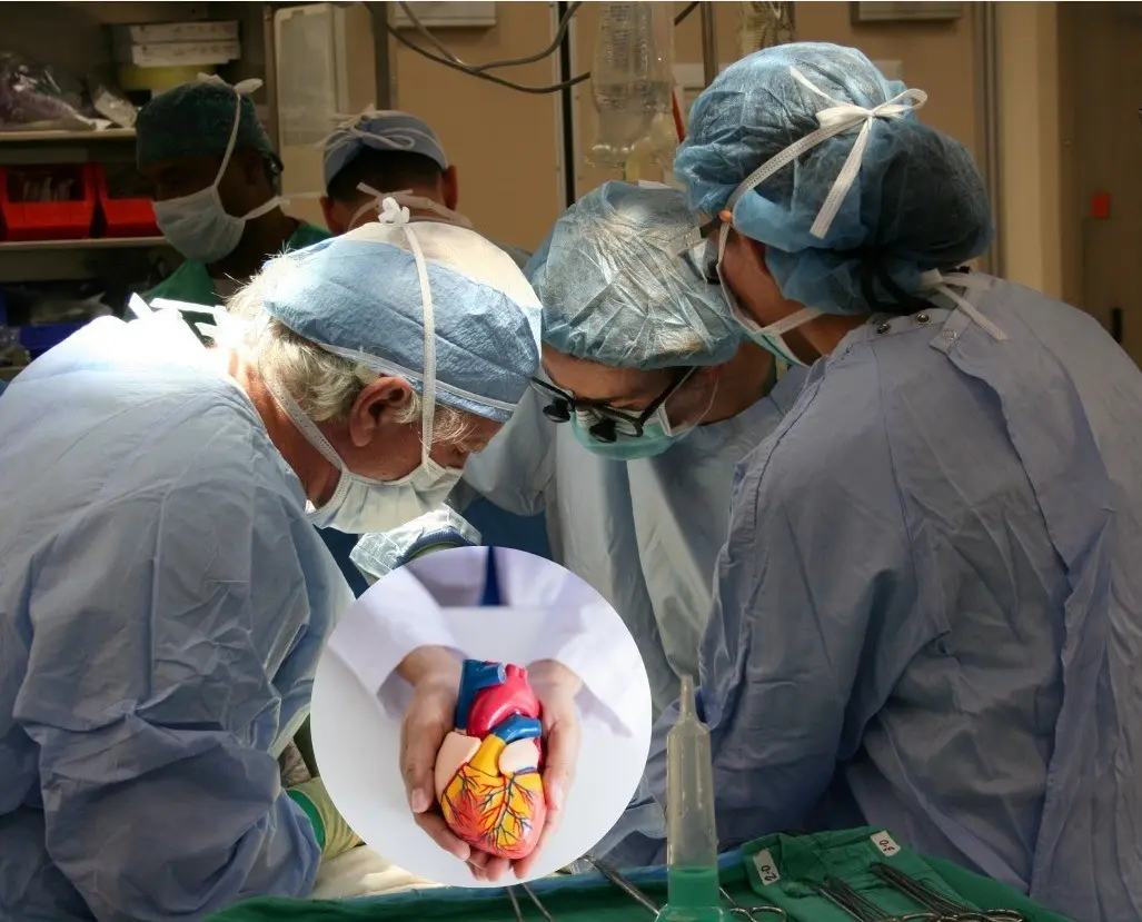 Trasplante de corazón en una de las clínicas del IMSS. Foto: Canva.