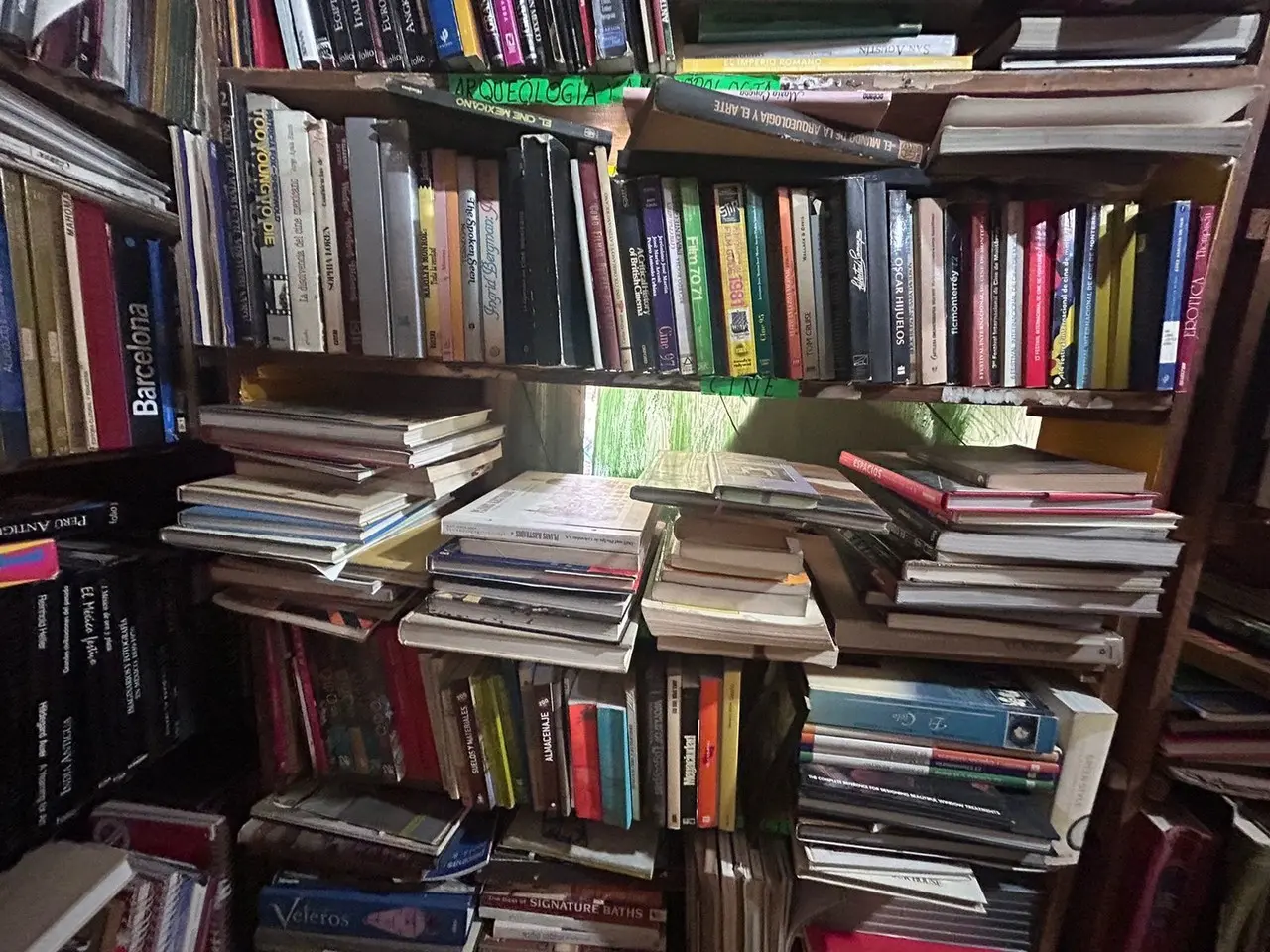 La dueña de este local asegura que hay más de cien mil libros en esa famosa esquina. Foto: Rosy Sandoval.