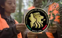 Alerta Amber: estas son las razones por las que se activa, según la Fiscalía de Nuevo León