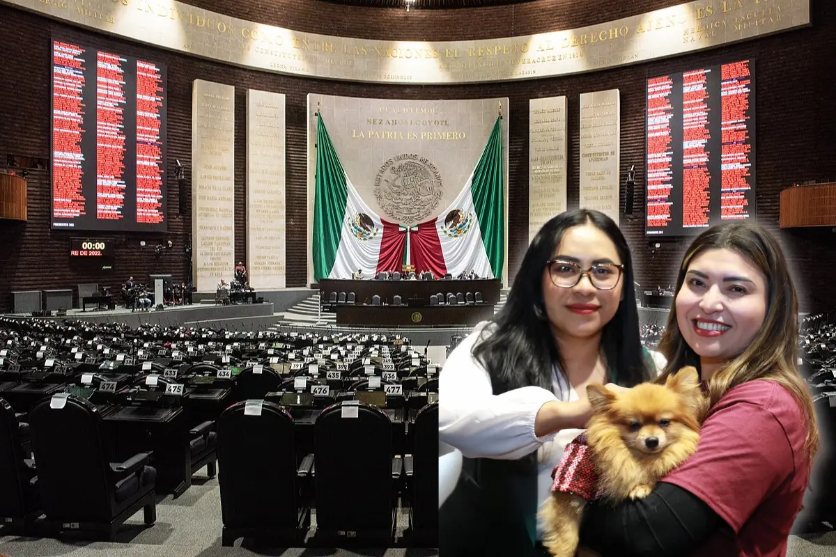 De fondo la Cámara de Diputados, diputadas con perrito. Foto: Wikipedia/@DiputadosMorena