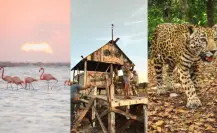 Safari de lujo en Yucatán, disfruta de la naturaleza, la aventura y la gastronomía