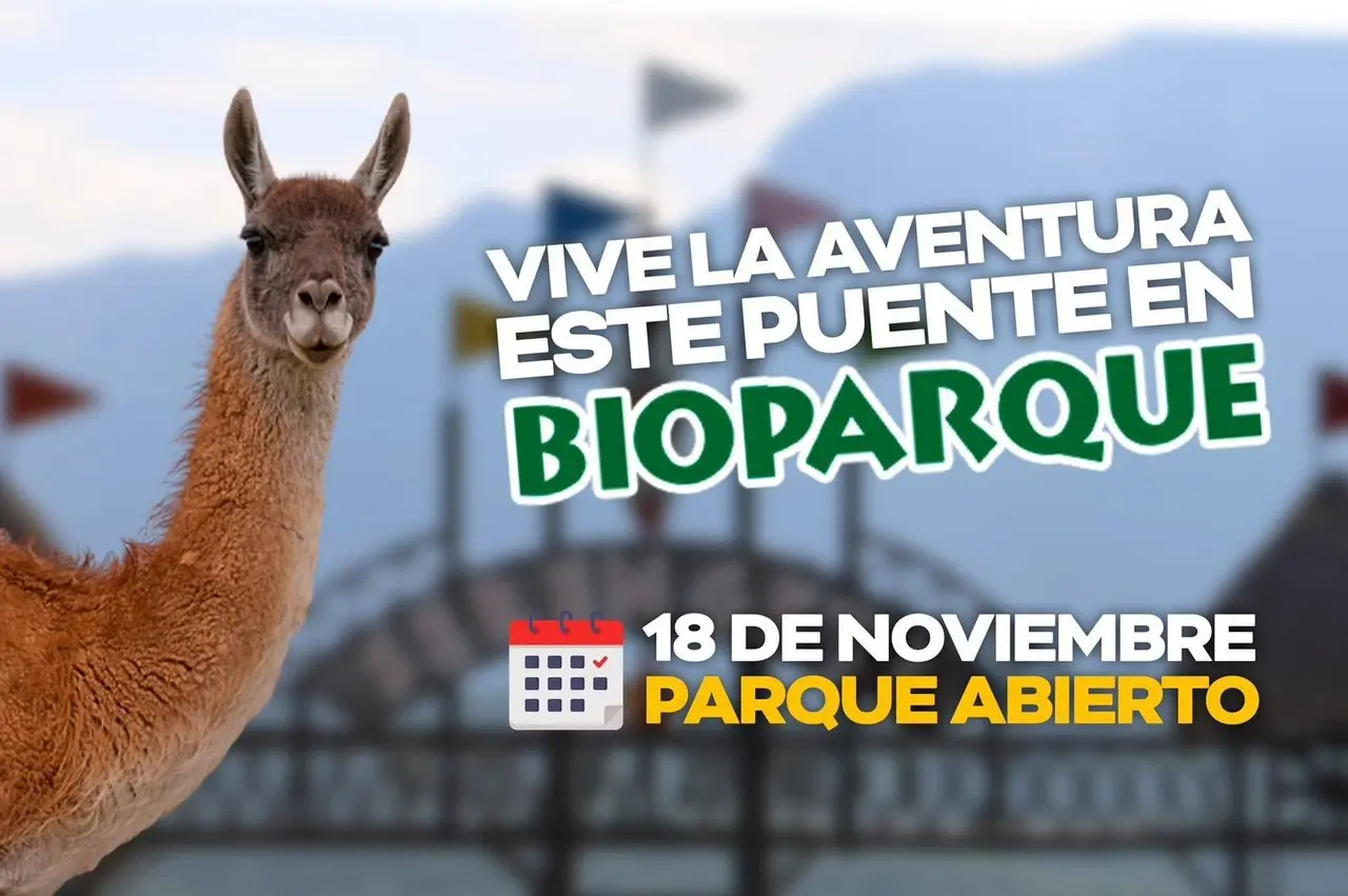 Los boletos para ingresar al parque pueden ser adquiridos en su página web www.bioparquemonterrey.mx o directo en taquilla, los cuales incluyen todas las atracciones. Foto: Jorge López.