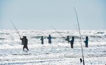 Torneo Internacional de Pesca en Tamaulipas rompe record de cañas ¿Cuántos pescadores participaron?