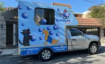 ¿Estética canina hasta tu domicilio? conoce cómo agendar y los servicios que ofrecen