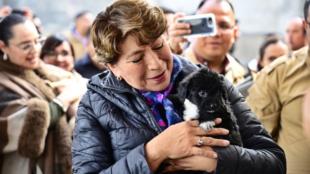 ¡Edomex es perrón! Va Delfina Gómez contra maltrato animal