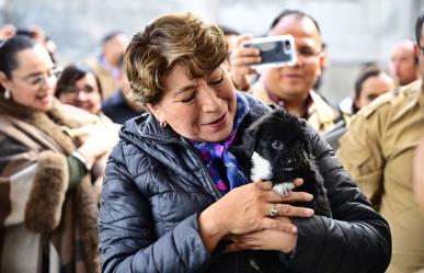 ¡Edomex es perrón! Va Delfina Gómez contra maltrato animal