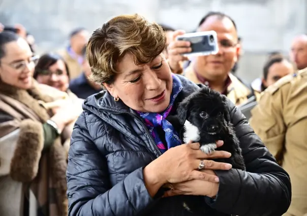 ¡Edomex es perrón! Va Delfina Gómez contra maltrato animal