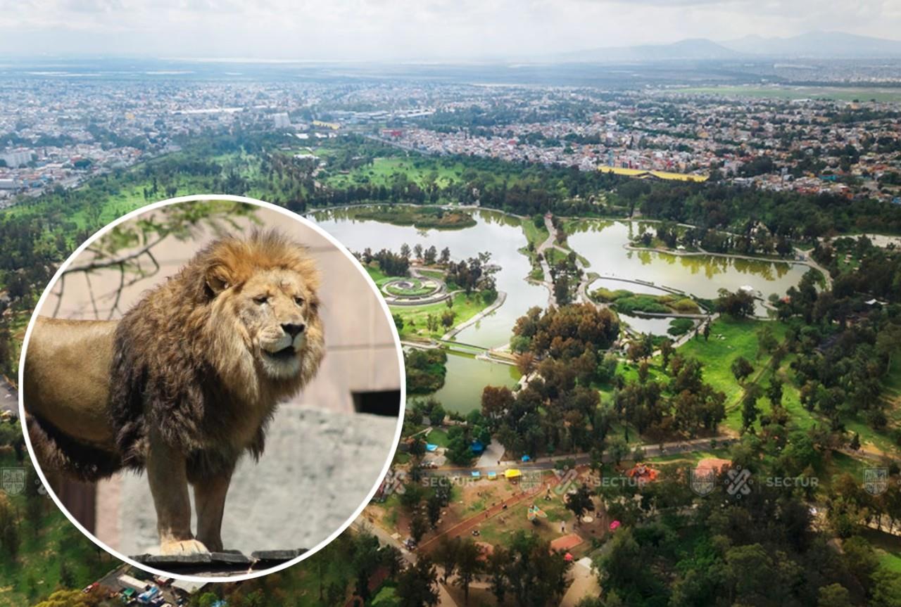 El Bosque de Aragón alberga más de 20 mil especies vegetales y animales. Imagen: @SEDEMA_,CDMX