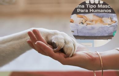 ¿Eres amante de los perros? Costco tiene un producto que te va a encantar