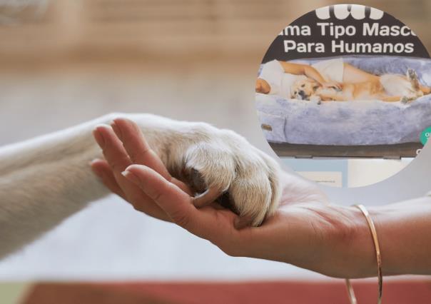 ¿Eres amante de los perros? Costco tiene un producto que te va a encantar