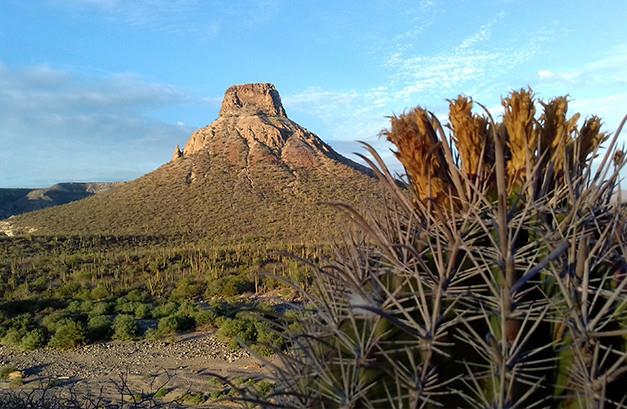 De Los Cabos a Mulegé, un recorrido fascinante por los municipios de BCS