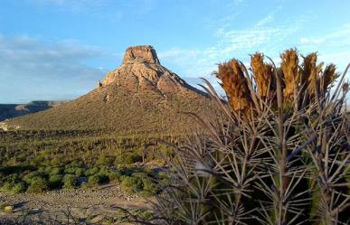 De Los Cabos a Mulegé, un recorrido fascinante por los municipios de BCS