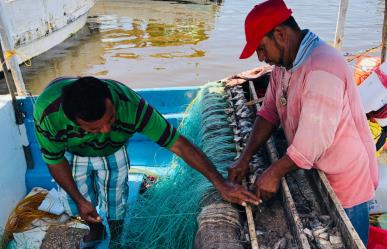 Día mundial de la pesca: Hombres de mar de Progreso afectados por mala temporada de pulpo