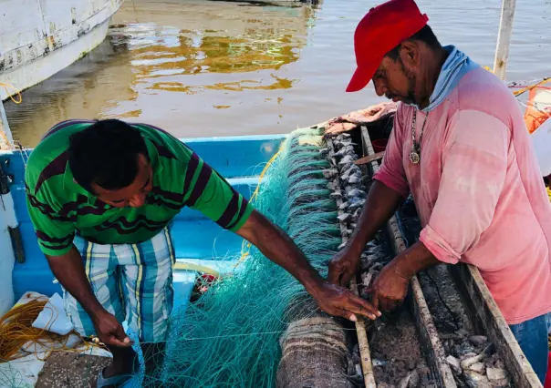 Día mundial de la pesca: Hombres de mar de Progreso afectados por mala temporada de pulpo